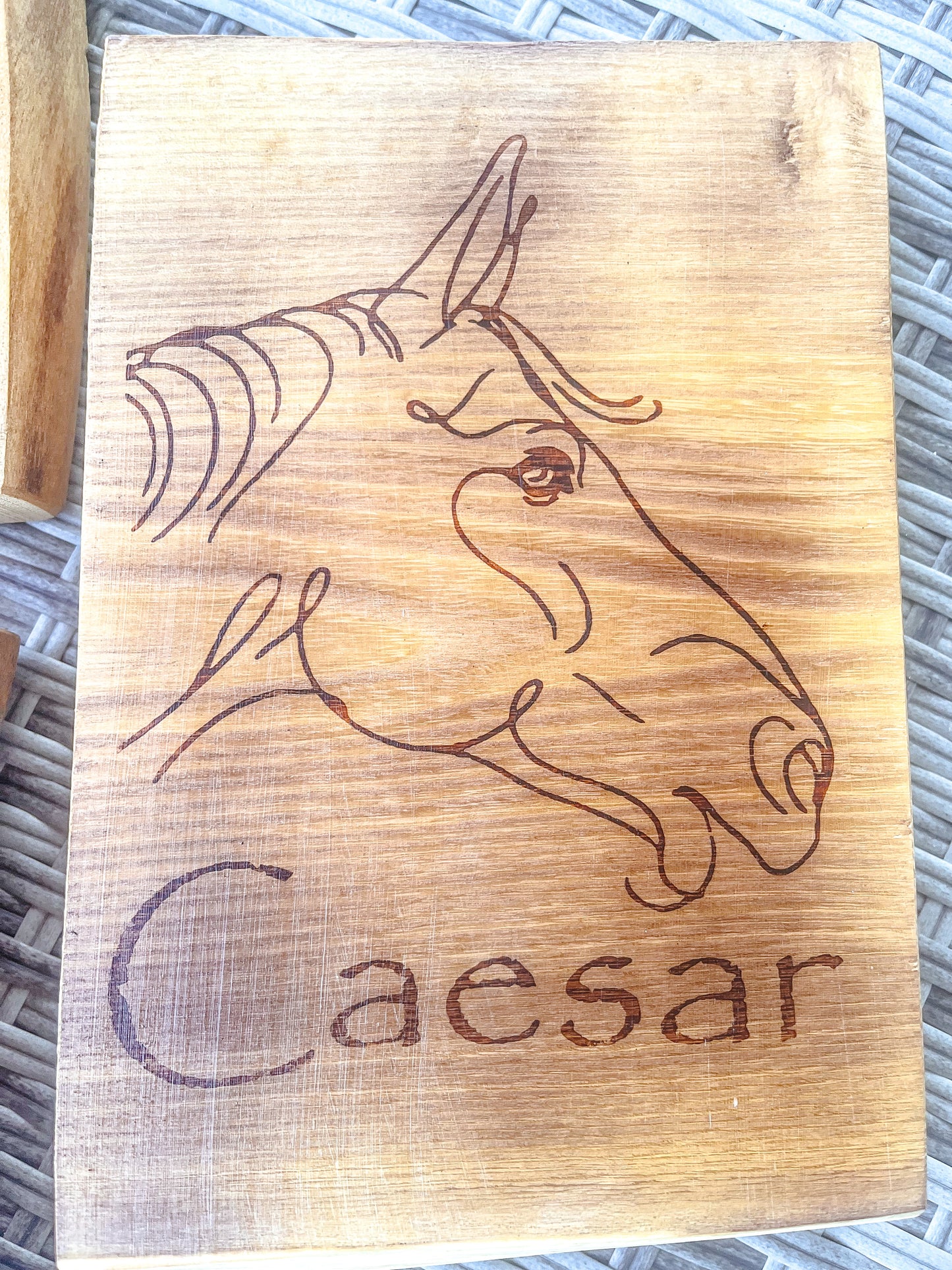 Holzschild mit individuell gebranntem Motiv